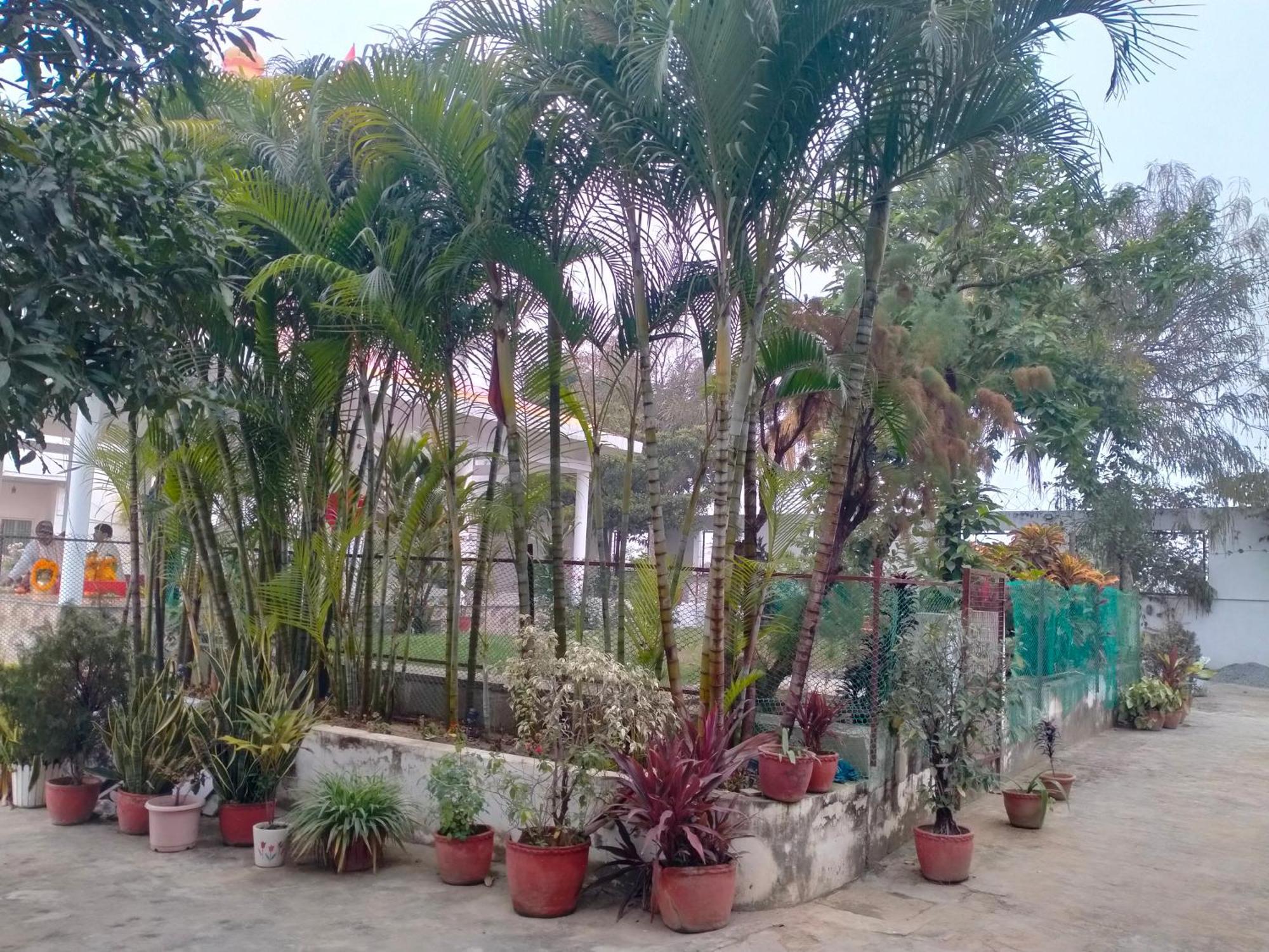 Vedic Villa Váránasí Exteriér fotografie